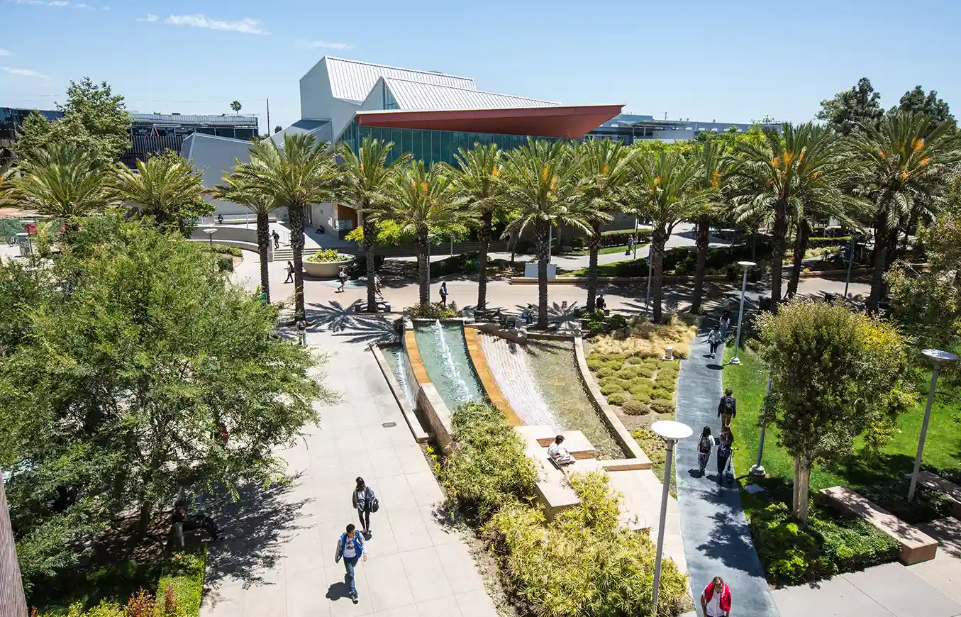 Students walking past palm trees and a fountain on a college campus