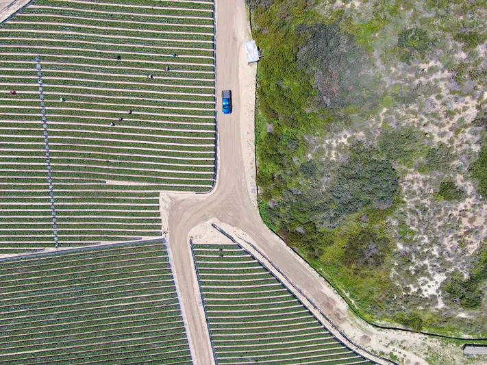 Aerial view of crop rows on California farmland, the kind of agriculture Fresno State serves