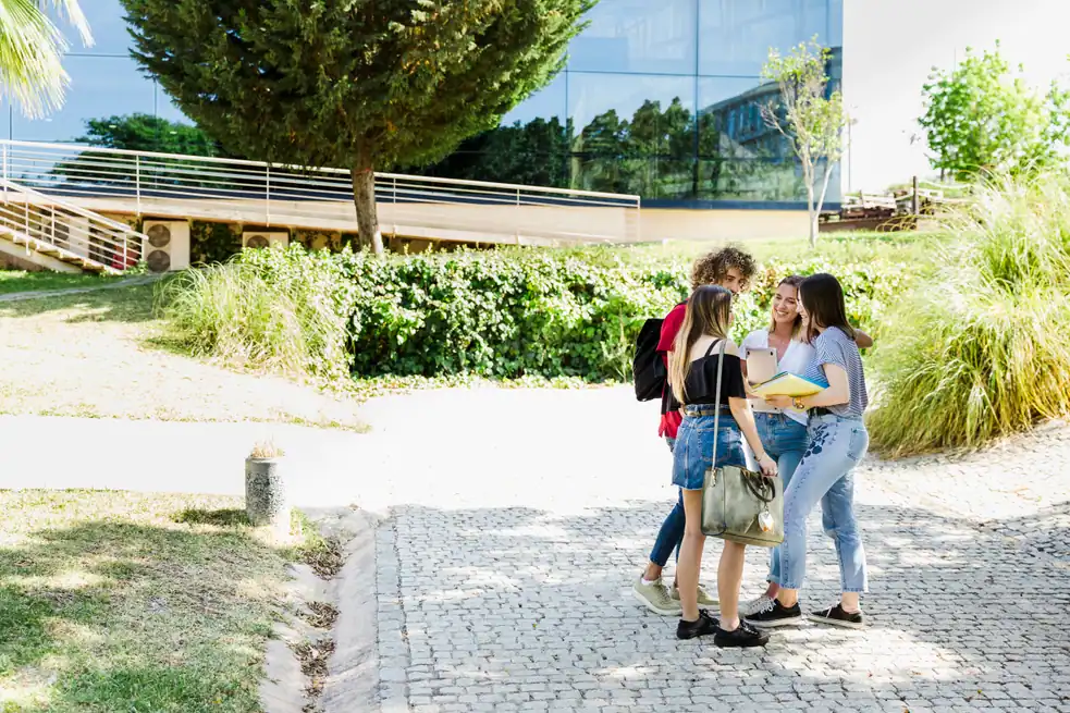 Two students talking on a sunny college campus walkway